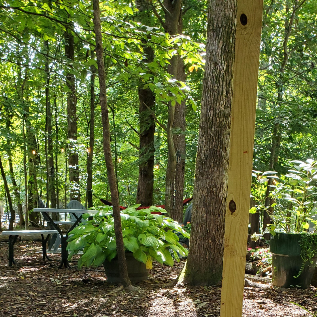 It's easy to be on a fast and not at His feet