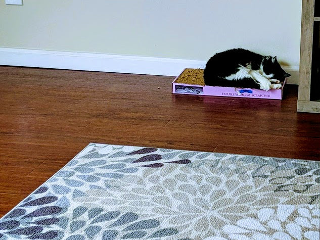 You won't even have to fight