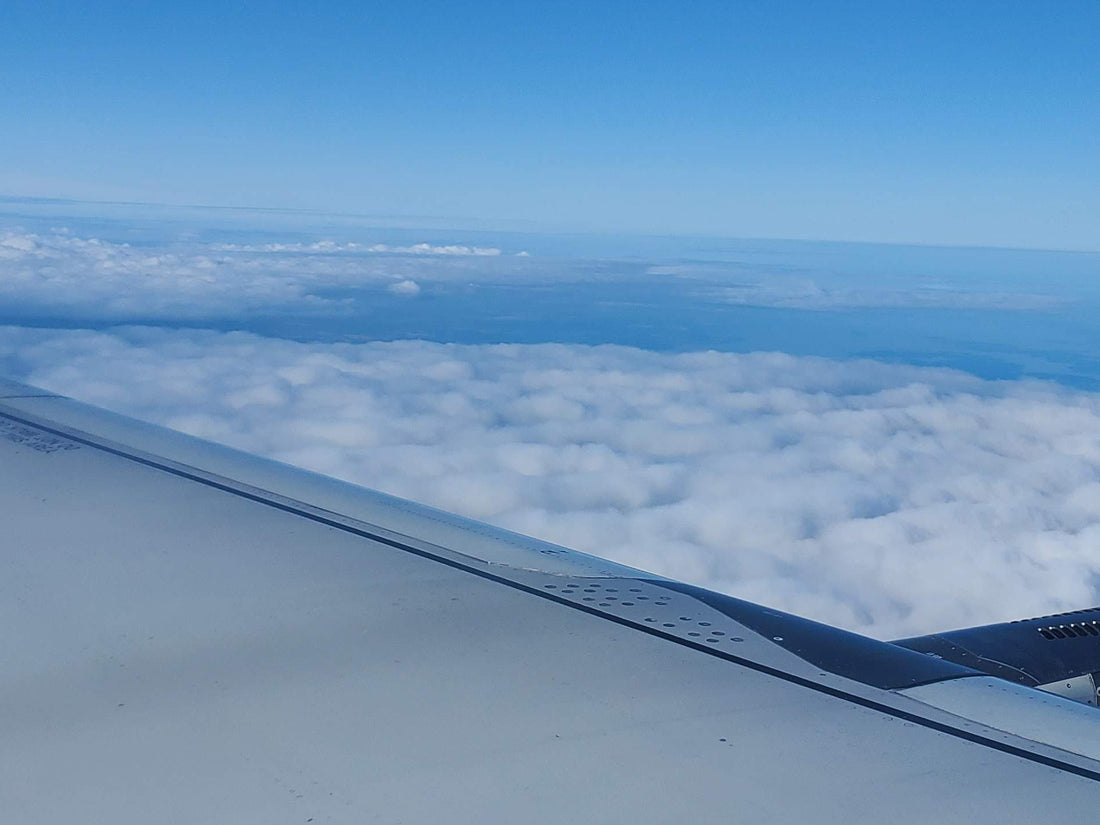 The case for courage